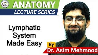 Biology of Lymphatic System  Hindi  Urdu [upl. by Arihk]