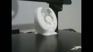 Briss Fang Ender 3 V2 time lapse [upl. by Nahgam]