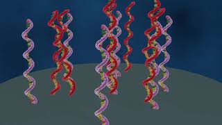 DNA microarray explained english speak [upl. by Oilalue981]