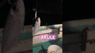 Shallow Water Bottom Fishing Hawaii [upl. by Akiwak]