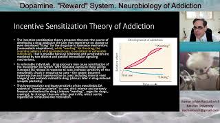 מערכת התגמול במח דופמין התמכרות לסמים ב  Incentive Sensitization Theory [upl. by Brucie]