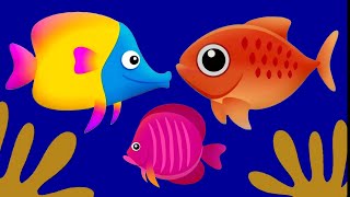 Fish Animation🐡 Peaceful Under Sea💤 Fishes [upl. by Eirotal]