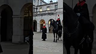 The Punishment 4 O’clock Parade Inspection…Blues and Royals Guards royalhorseguard royalguard [upl. by Myra441]