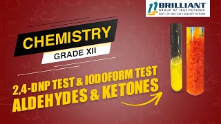 2 4 DNP Test  Iodoform Test  DNPH  Aldehydes amp Ketones  CBSE 12 ChemistryNEETJEE Video Lecture [upl. by Darbee154]