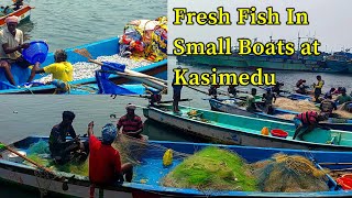 Fresh Fish at Kasimeduகாசிமேட்டில் மொத்தவிலையில் ஐஸ் இல்லாத மீன்கள் வாங்குமிடம்rvs 541 [upl. by Etirugram]