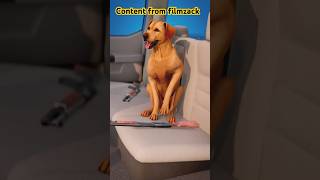 Dog that mistakenly shot it owner… content filmzack [upl. by Arrio720]