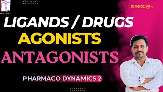 Pharmacodynamics Agonists Antagonists Partial Agonists Inverse Agonists Pharmacology Malayalam [upl. by Acimat]