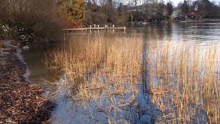 Tutzing am Starnberger See  Kustermann Park [upl. by Eilyak]