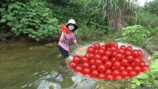 This rare clam also makes the pearls harvested by the village flower unique [upl. by Nagek]