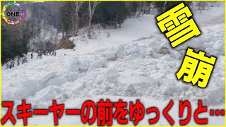 暖冬で“表層雪崩”起きやすい状況か…スキー場の敷地外『バックカントリー』に注意 圧雪されず自己責任に [upl. by Aekal]