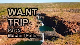 WANT Trip Pt 9  Mitchel Falls  Bush Echidnas [upl. by Nekial267]