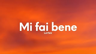 Lortex  Mi fai bene TestoLyrics [upl. by Annaj134]