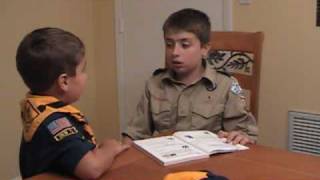 The Meaning of Webelos [upl. by Koehler675]