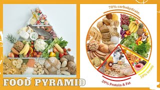 Food Pyramid Balanced Diet 2021 [upl. by Riess]