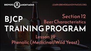 BJCP Training Section 12 Beer Characteristics  Lesson 19  Phenolic  Medicinal [upl. by Alaik282]