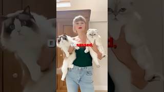 Katy Perry STEALS Taylor Swifts CAT 🤯🐈 [upl. by Nolte237]