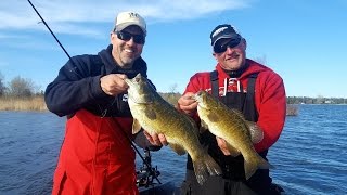 Giant Prespawn Smallmouth in Sturgeon Bay WI [upl. by Angelle]