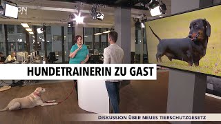 Diskussion um neues Zuchtgesetz  RON TV [upl. by Alegnatal]