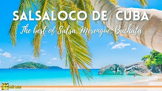 Salsaloco De Cuba  The Best of Salsa Merengue Bachata [upl. by Moreen]