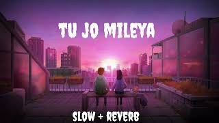 Tu Jo Mileya  Slowed amp Reverb  MixSingh  New Punjabi Romantic Song 2024  romantic lofi song [upl. by Henryk]