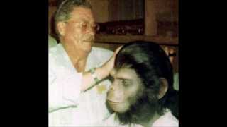 Behind the Scenes Photos Planet of the Apes [upl. by Nealson]