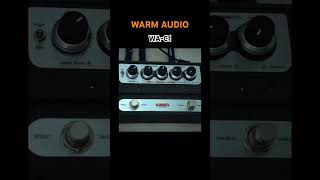 This ChorusVibrato Pedal from Warm Audio rules [upl. by Kallman184]