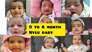 Baby Nylu 0 to 6 months❤️ babytrending youtubevideo shortvideo [upl. by Nrojb]