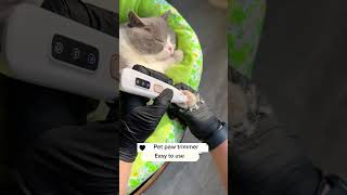 Pet paw trimmer petpet cat catlover catcare catpaw [upl. by Macmillan]