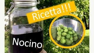 NOCINO FATTO IN CASA ricetta  segreto [upl. by Jimmie690]