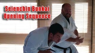 Practical Kata Bunkai Seienchin Seiyunchin Opening Sequence [upl. by Hulen94]