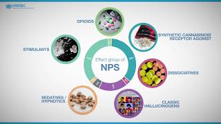 Seized Drug Analysis in a Forensic Lab [upl. by Nelly]