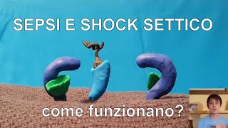 Sepsi e shock settico cosa sono sepsi [upl. by Belanger]