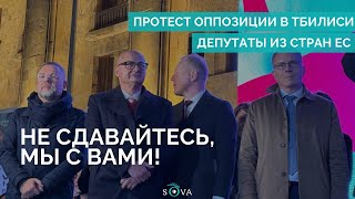 Депутаты из стран ЕС на митинге оппозиции в Тбилиси [upl. by Dominik]