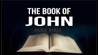 The Complete Book of John KJV Dramatized Audio Bible [upl. by Beverle661]