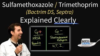 SulfamethoxazoleTrimethoprim Bactrim Septra Uses Coverage Dosage UTI Treatment Etc [upl. by Irrab]