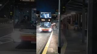 SMRT A95 CAMEOSG5748G MAN A95 E5 on svc 196 friendly bc included [upl. by Potter334]