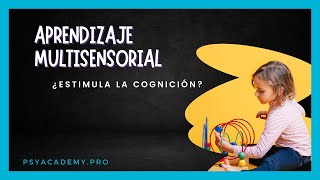 👁️‍🗨️​🧏🏻​👋​ Aprendizaje MULTISENSORIAL enfoque OrtonGillingham o modelo VAK en 2024 [upl. by Aerdma]