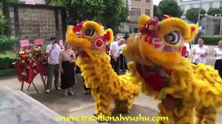 Lion Dance Foshan China [upl. by Htezil657]