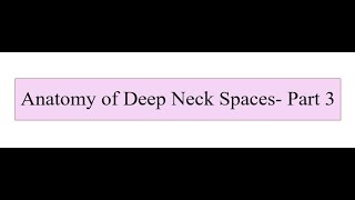 Anatomy of Deep Neck Spaces  Part 3 [upl. by Nitaj]