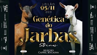 LEILÃO GENÉTICA DO JARBAS  50 ANOS  RAÇAS SAANEN amp ALPINA [upl. by Anagnos]