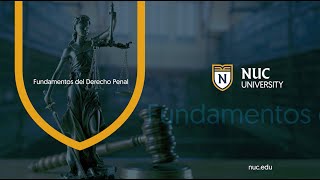 Fundamentos del Derecho Penal [upl. by Alicsirp251]