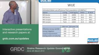 Grains Research Updates 2015  Goondiwindi  Highyielding irrigated grain sorghum  T Philp [upl. by Kevan403]