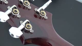 USA PRS Custom 24 headstock repair ColorTone StewMac TouchUp Marker [upl. by Otrebogad283]