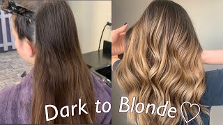 Hand Painted Balayage Ombre Technique  Dark to Blonde Tutorial [upl. by Aihsitan]