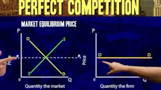 Perfect competiton Demand curve for individual producer [upl. by Erb299]