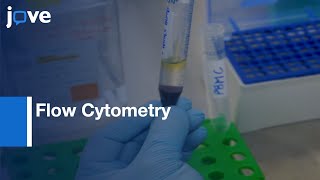 Flow CytometryBased Cytotoxicity Assay to Assess NK Cell Activity  Protocol Preview [upl. by Euqininod]