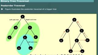 Binary Tree Traversal Preorder Inorder Postorder in Data Structures [upl. by Sybille148]