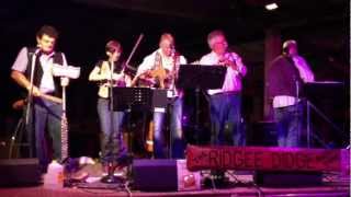 Ridgee Didge Bush Band at the Jondaryan Woolshed [upl. by Mccomb]