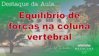Biomecânica  equilíbrio de forças na coluna vertebral  como funciona [upl. by Pattani]