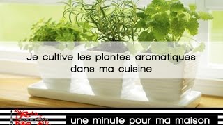 Des plantes aromatiques dans ma cuisine [upl. by Crandale]